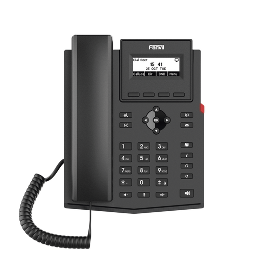 Fanvil X1P is an entry-level, cost-effective professional desktop IP Telephone with Opus